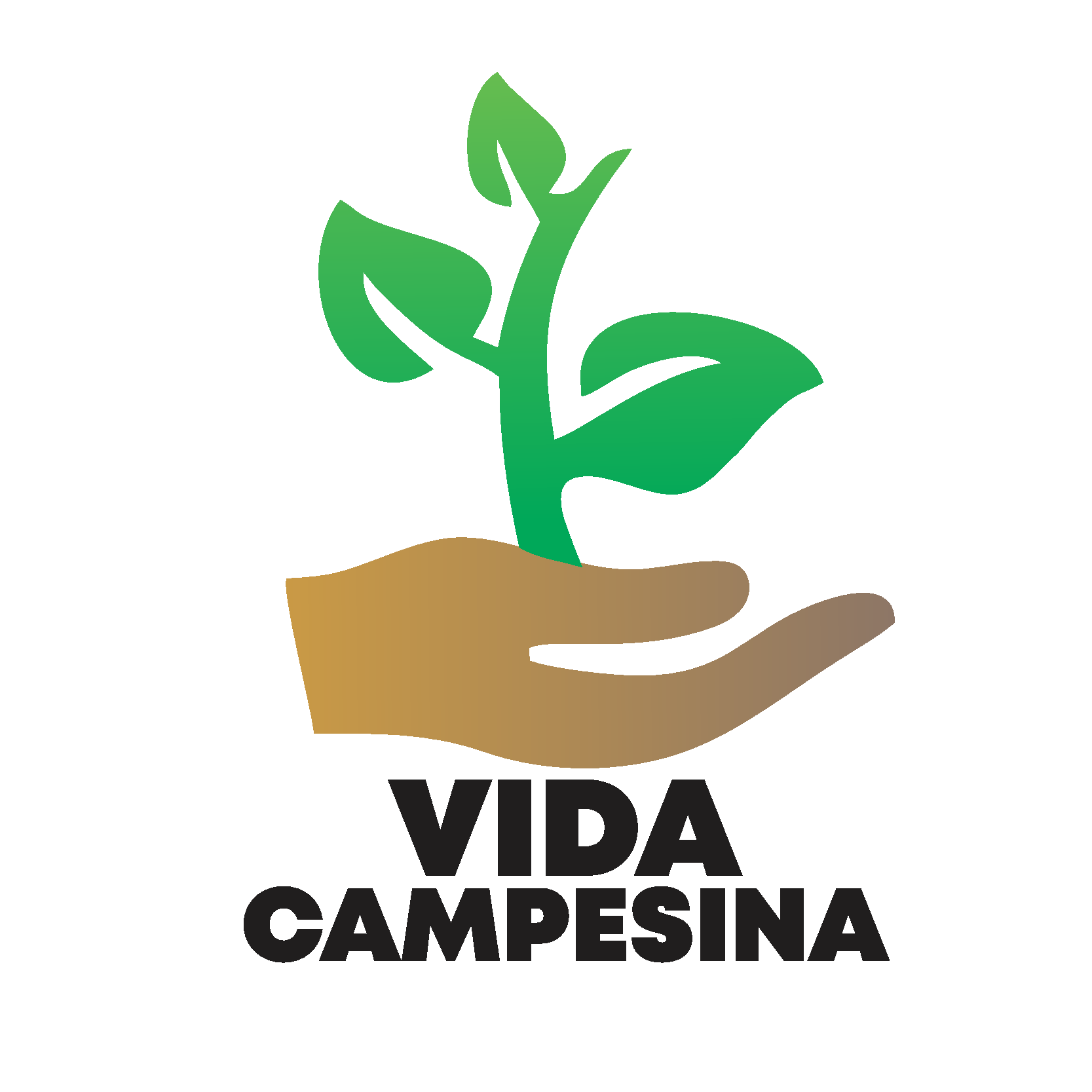Vida Campesina